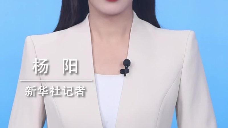 研发外包风险规避：五大关键步骤解析